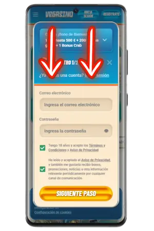 Para registrarte en el Vegasino Casino, introduce tu correo electrónico y tu contraseña.
